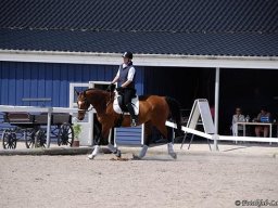 dsc9294-701